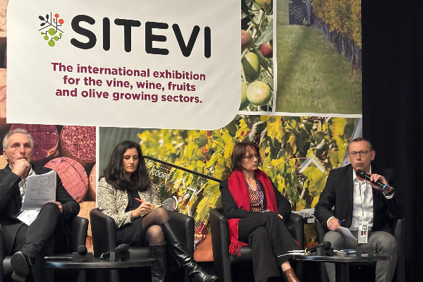 Encore un espoir pour la marque Sud de France sur les étiquettes de vins ?