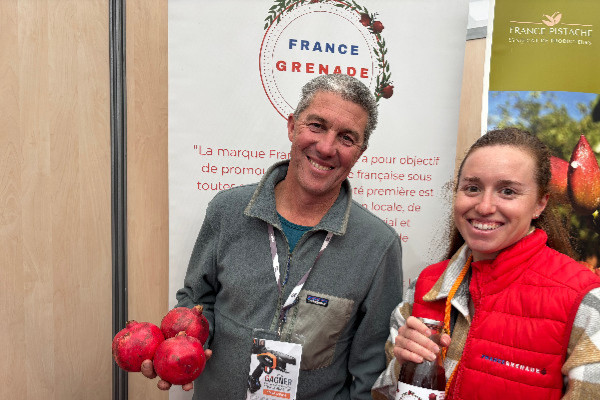 La grenade en piste de diversification d'intérêt pour la viticulture méridionale