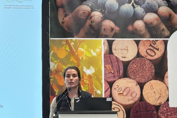 Sudvinbio déconseille Lumière en premier traitement obligatoire