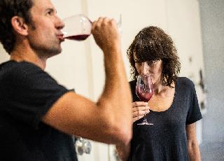 Lavage des raisins au karcher, charbons... Comment les vignerons ont déjoué les goûts de fumée après les incendies