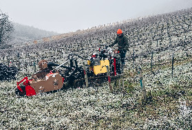 Ce vigneron teste l’année sans tracteur et finit par acheter un enjambeur : 