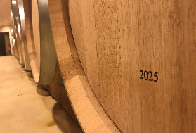 Pas d'illusion sur l'effet prix de la petite vendange 2025, qui va 'alléger la pression sur les stocks plutôt que créer une tension généralisée sur l'offre' mondiale de vin