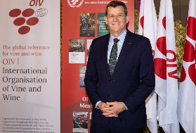 'La demande de vin est toujours là, son recul est davantage lié à une offre limitée qu'à une demande réduite'