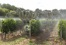 Ils font le job face au mildiou : ces stimulateurs de défenses naturelles de la vigne en programme avec des fongicides