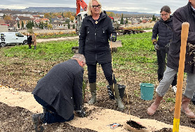 Moët & Chandon plante 80 kms de haies : 'la biodiversité est un catalyseur d’énergie collective'