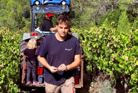 Arrachage de vignes, exportation européenne des vins... 