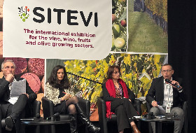 Encore un espoir pour la marque Sud de France sur les étiquettes de vins ?