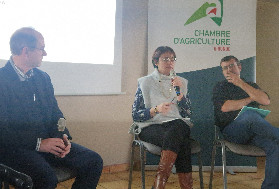 Les vins de Bordeaux doivent jouer correctif pour s'en sortir : 