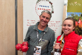 La grenade en piste de diversification d'intérêt pour la viticulture méridionale