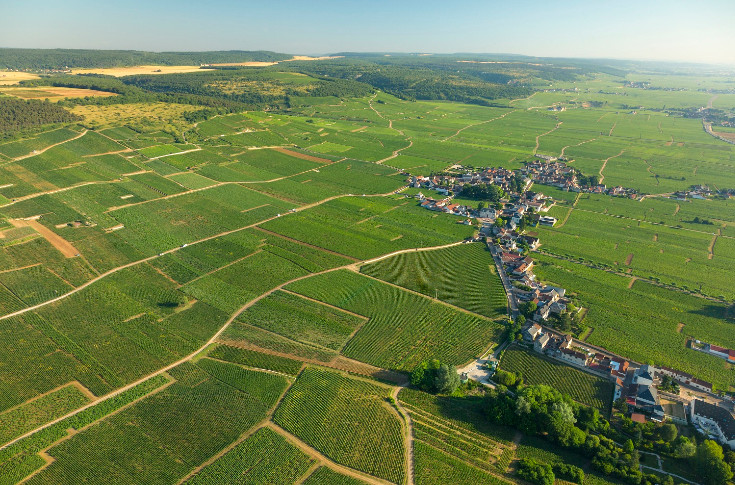 Vosne-Romanée met les moyens sur la biodiversité de son vignoble