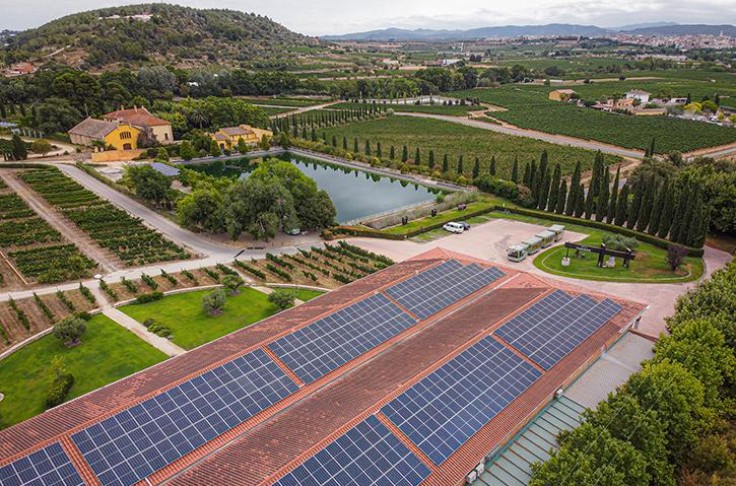 Torres milite pour un réemploi européen des bouteilles de vin 
