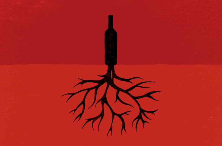 Objectif -54 % de bilan carbone pour les vins de Bordeaux et leur 