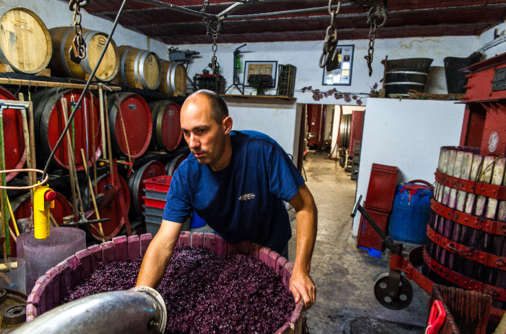 Pourquoi ce vigneron décide d'arrêter le métier