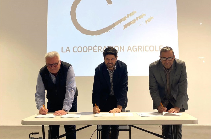Les caves coop du Var et des Bouches-du-Rhône fusionnent avec la Coopération Agricole Sud