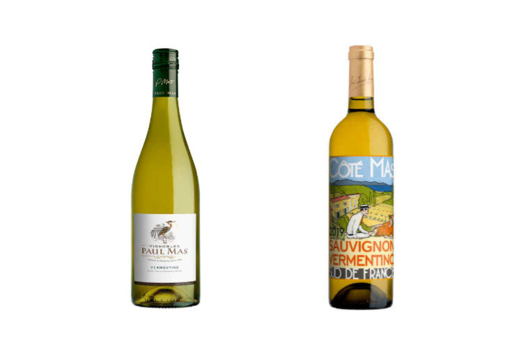 Pourquoi les vins français ne peuvent revendiquer le cépage italien vermentino