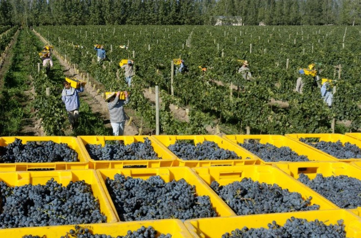 La flambée des coûts de production ne touche pas que les vins de France