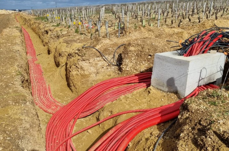 L'installation de câbles antigel échauffe les esprits vignerons