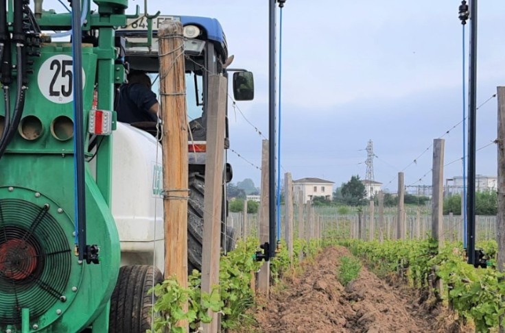 De l’argent et du bronze pour la viticulture au Sival 