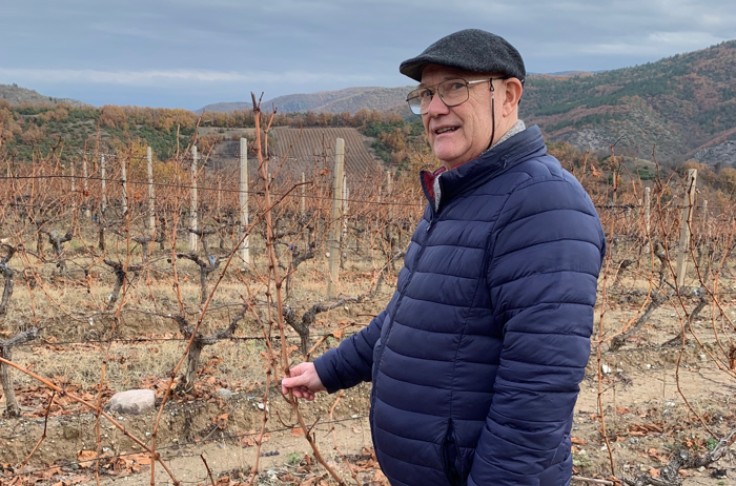  Jusqu’à douze jours de gagnés en retardant la taille des vignes