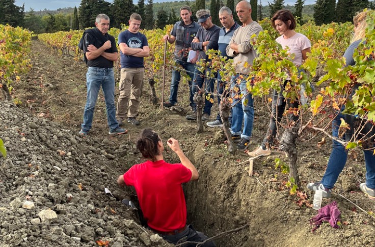 Les fosses pédologiques aident à bien conduire les vignes