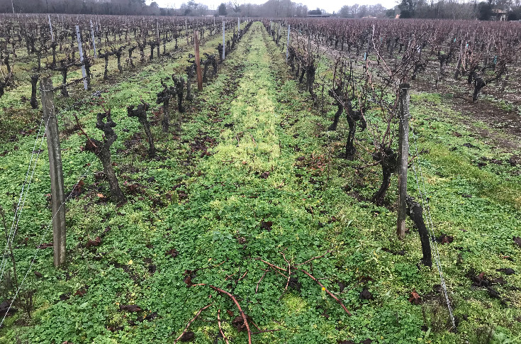La cession de parts sociales de vignoble est désormais encadrée, mais pas encore pratiquée