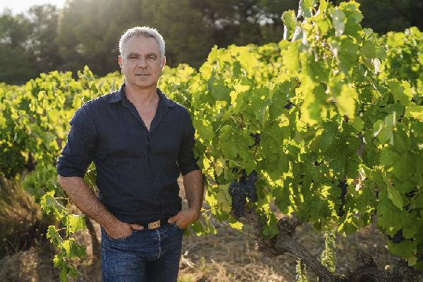  Ces vignerons bousculent leur organisation pour retarder la taille de leurs vignes