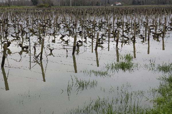  Le point sur les nouvelles règles de l’assurance récolte