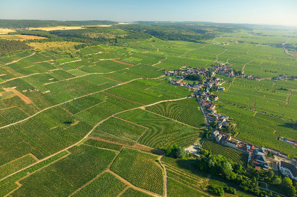 Vosne-Romanée met les moyens sur la biodiversité de son vignoble