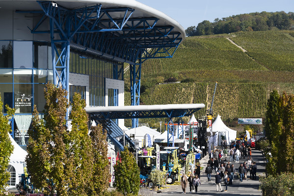 Le Viteff veut rester le salon leader des vins effervescents