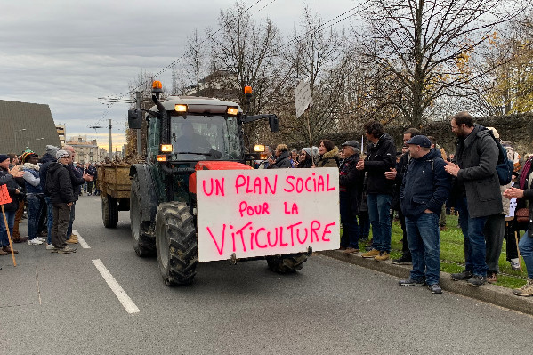Vignerons bordelais en difficulté, faites-vous connaître pour être aidés