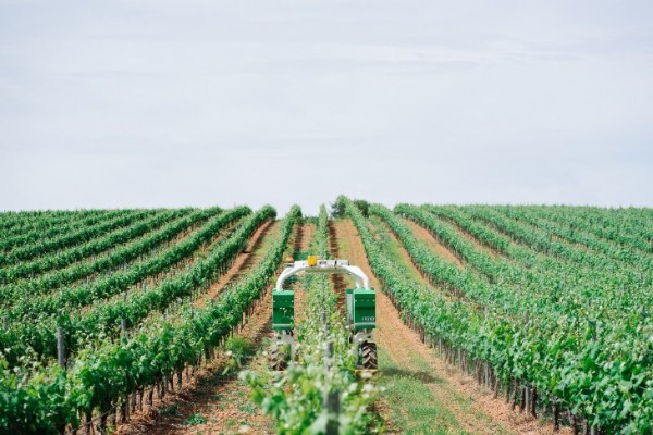 1 000 robots Naïo dans les vignes et dans les champs en 2025