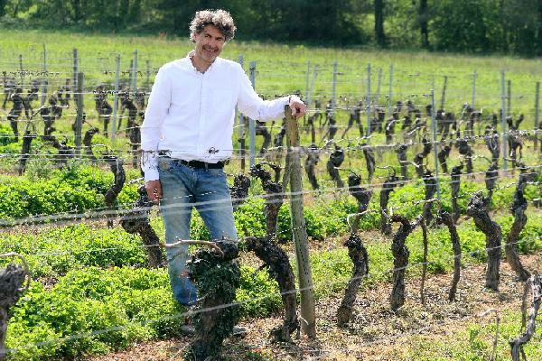  Des viticulteurs prêts à jeter l'éponge face aux nouvelles exigences de la HVE