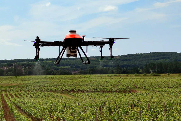 L’avenir des traitements viticoles par drone entre expérimentation et dérogation pour les fortes pentes