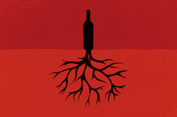 Objectif -54 % de bilan carbone pour les vins de Bordeaux et leur 'avantage concurrentiel'   