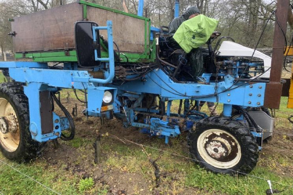 2 interceps font leurs preuves dans le vignoble