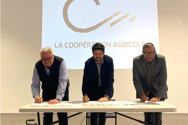 Les caves coop du Var et des Bouches-du-Rhône fusionnent avec la Coopération Agricole Sud