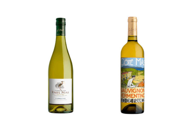 Pourquoi les vins français ne peuvent revendiquer le cépage italien vermentino