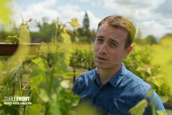 Hugo Clément part en croisade contre (presque) tout le vignoble