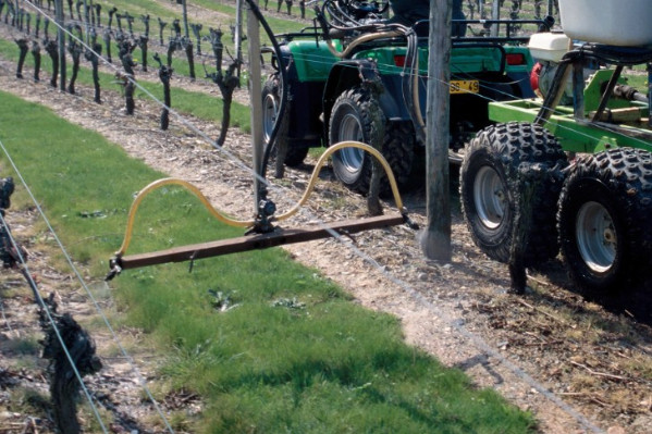 Désherber à 450 g/ha de glyphosate ? Ce n'est pas facile, mais possible