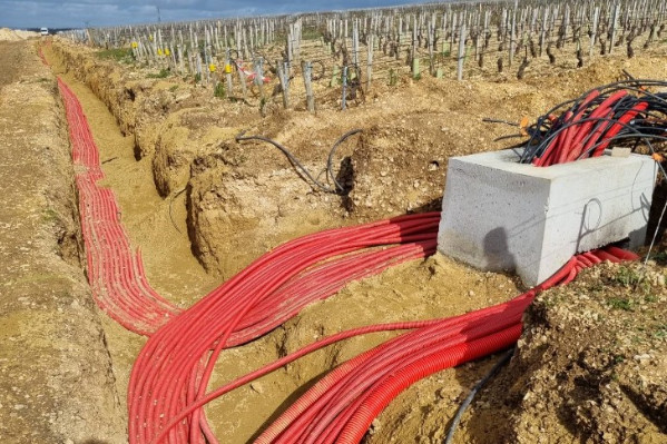 L'installation de câbles antigel échauffe les esprits vignerons