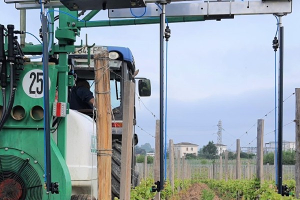 De l’argent et du bronze pour la viticulture au Sival 