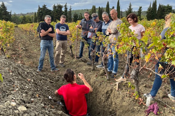 Les fosses pédologiques aident à bien conduire les vignes
