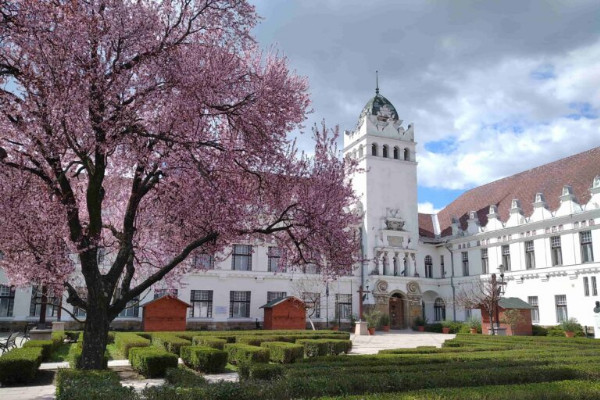 La School of Wine de Bourgogne et l’université de Tokaj s’associent