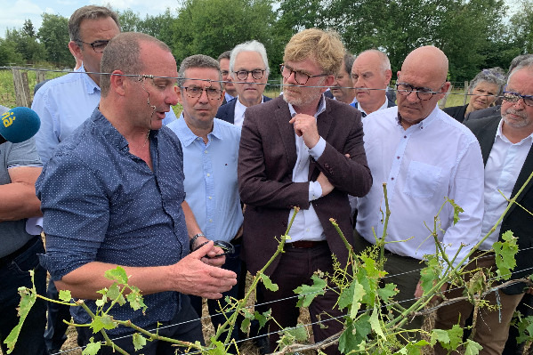 Faute d’accord avec les assureurs, l’État gère le volet solidaire de la nouvelle assurance récolte