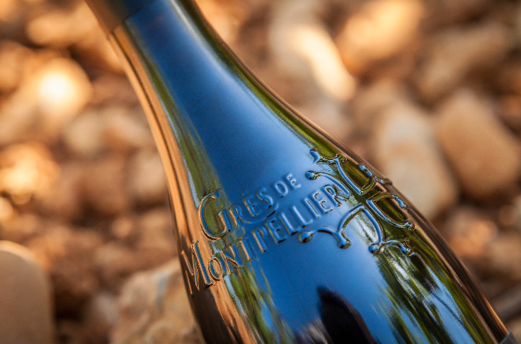 Les vins des Grés de Montpellier accèdent à l’AOC