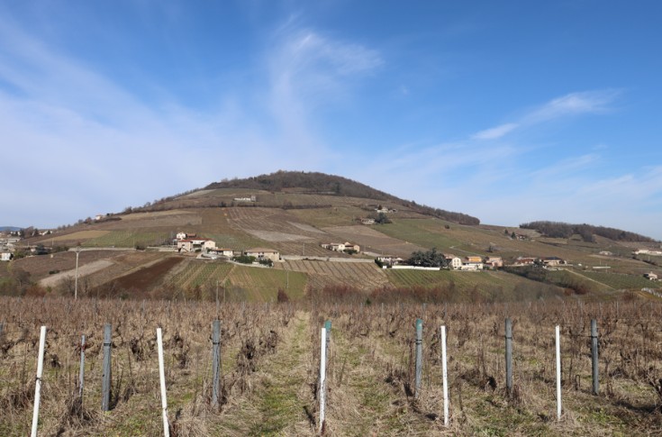 Les vins de Brouilly proposent 16 premiers crus