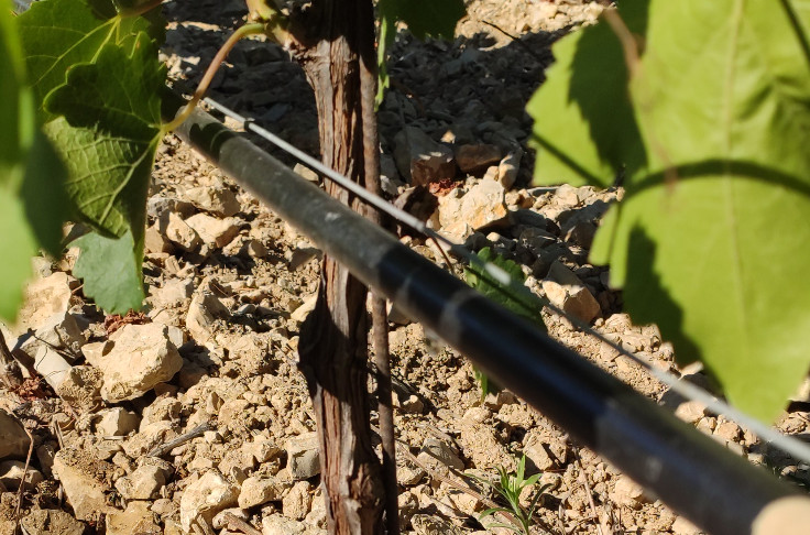 L'Etat renonce à l'augmentation de la RPD et recule sur la redevance irrigation