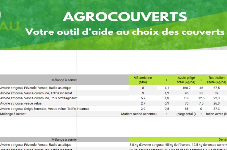 Quel mélange de couverts végétaux pour votre vignoble ?