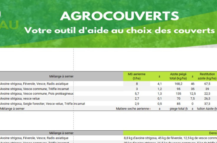 What is the best mixture of cover crops for your vineyard?