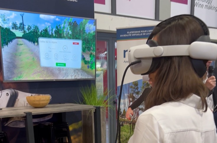 En vidéo, la réalité virtuelle pour apprendre à tailler la vigne